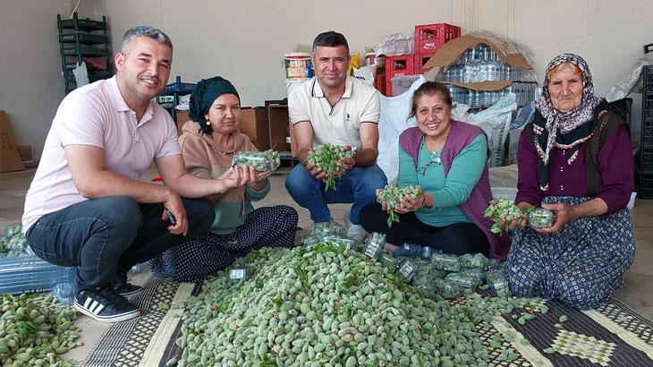 Badem çağlasının kilosu 100 TL’ye düştü