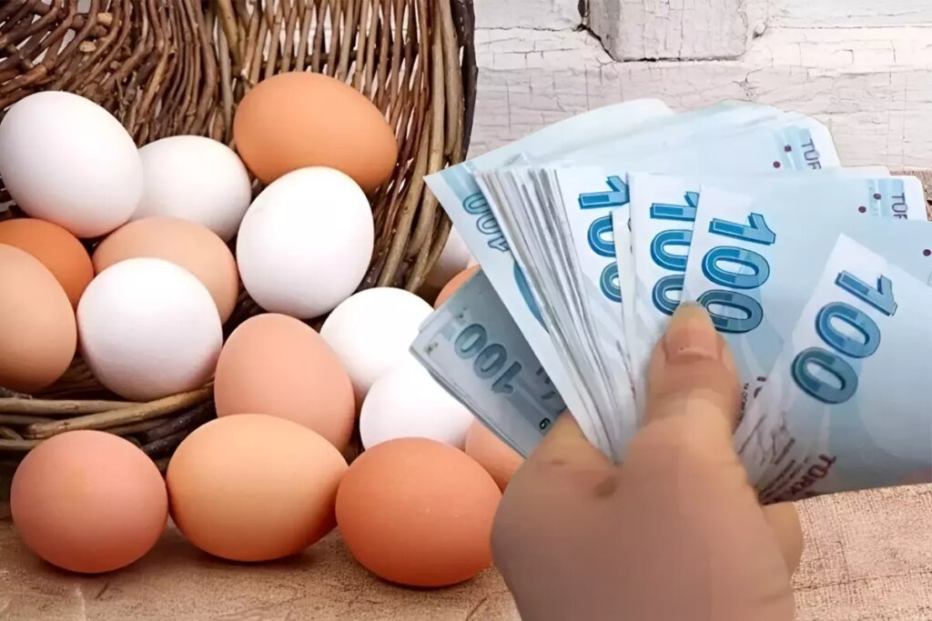 Yumurtada fahiş fiyata ilişkin yeni tedbir yürürlüğe girdi